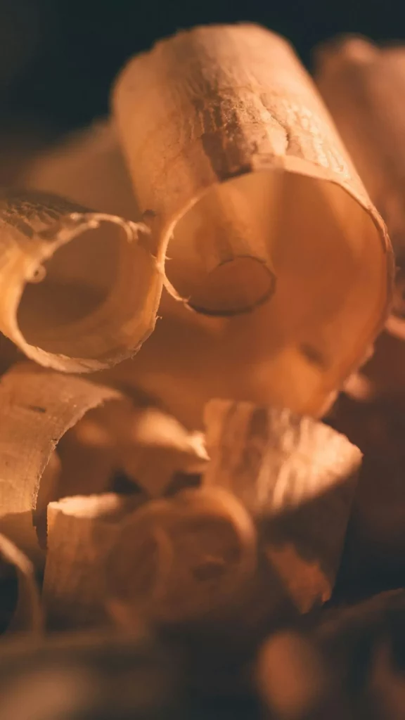 Macro de copeaux de bois enroulés sous une lumière chaude.