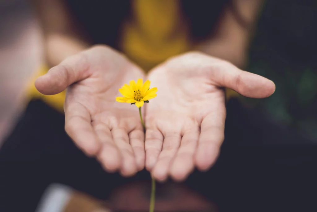 Deux mains ouvertes tenant une petite fleur jaune en signe d'espoir et de réconfort.
